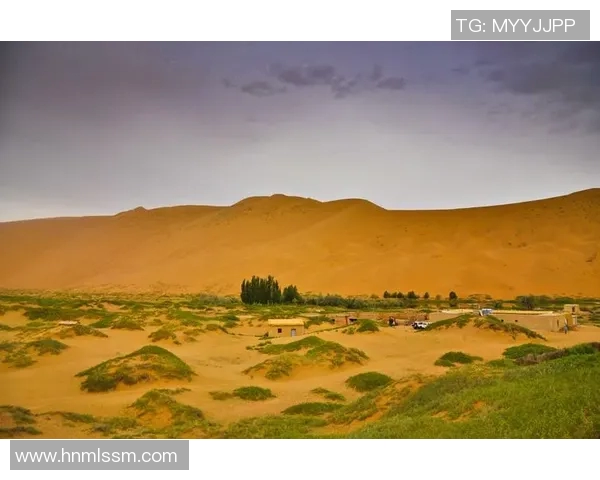 神秘人挑战天空直播背后的真相与秘密探秘之旅