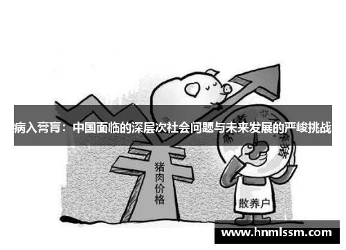 病入膏肓：中国面临的深层次社会问题与未来发展的严峻挑战